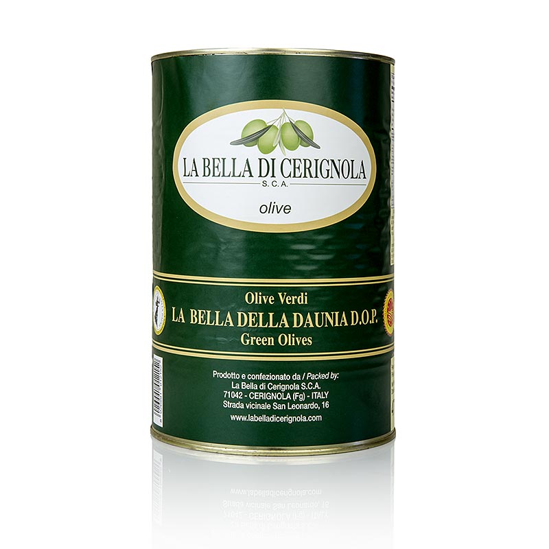 Grüne Riesen-Oliven, mit Kern, "Bella di Cerignola", in Lake 4,25 kg