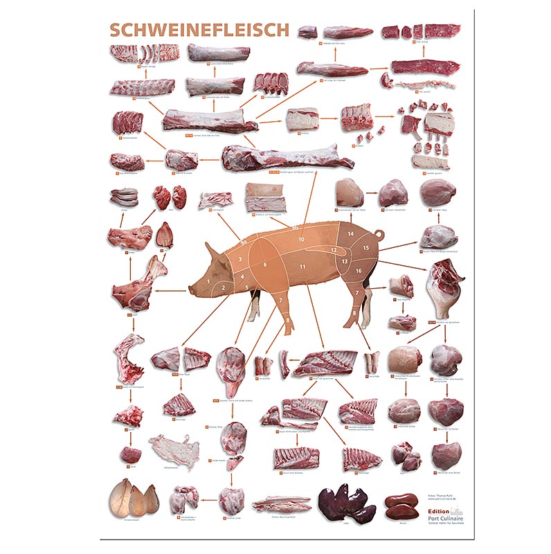 Port Culinaire - Küchenposter Schweinefleisch (59,4 x 84cm), 1 St