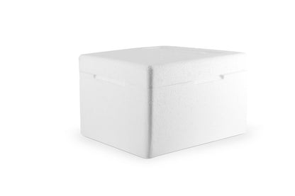 6kg Graviola 100% Fruchtpüree Fruchtpüree pur tiefgefroren (60x100g Portionen)