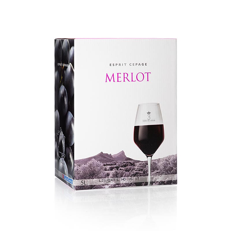 Merlot, trocken, 13% vol., Bag in Box, Coteaux du Pic, 5 l