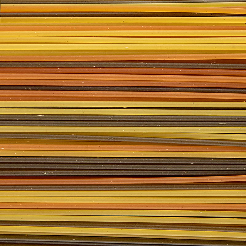 Acolore Fantasia Nudeln Spaghetti Tricolore, Casa Rinaldi, 500 g